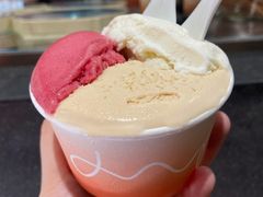-Dip in Gelato(富民路店)