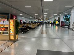 -英迪拉·甘地国际机场