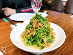 -田园居·佳宴(桑田路店)