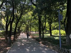 景点-解放公园