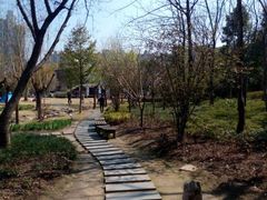 小径-苏州河梦清园环保主题公园