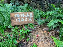 -原乡芦茨咖啡