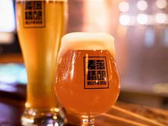 -麦落精酿啤酒餐吧(先农大院店)