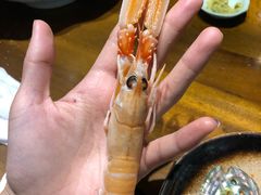 -和彩放题餐厅(酒仙桥店)