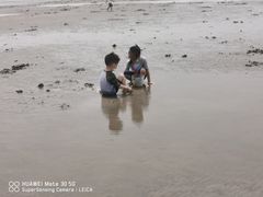 -南汇嘴观海公园