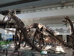 -中国地质大学逸夫博物馆