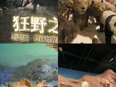 -浙江自然博物院(杭州馆)