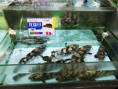 水产区-渔民新村(番禺总店)