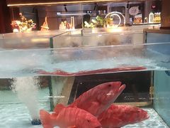 -阿伟海鲜楼·福建菜(延寿店)