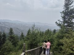 -苏木山森林公园