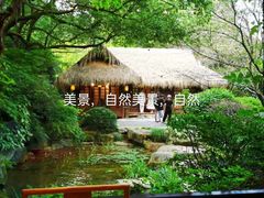 -灵谷景区