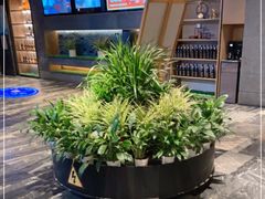 -大鸭梨烤鸭(枣园店)