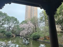 -上海闵行星河湾酒店