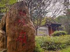 -深圳国际园林花卉博览园