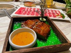 玻璃烧鸭-汤城·料青山