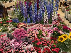 -双季花艺园艺市场(浦东店)