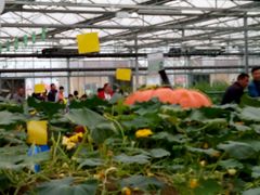 -兰陵国家农业公园