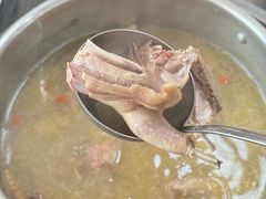 -鸽鸟轩(石岐店)