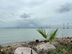 -宝安西湾红树林湿地公园