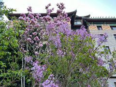 -网动网球培训(北京友谊宾馆校区)