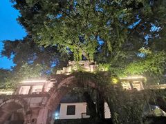 -大渡口区义渡公园