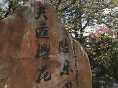 -天适樱花悠乐园
