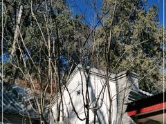 -香山公园