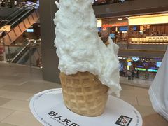 -野人先生现做冰淇淋(北京环宇荟店)