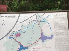 -桃花岭景区