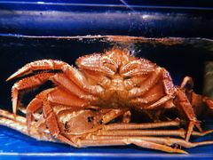 -蟹田居·活蟹料理(东城店)