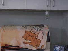 -瑞派紫金宠物医院24小时·骨科·中兽医·重症转诊中心(番禺大石院)