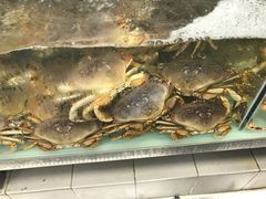 -盒马鲜生(大成店)