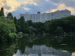 -井之头恩赐公园