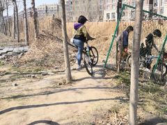 -天津东丽湖风景区