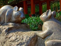-赭山公园