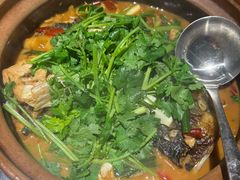 -九道菜有鸡鱼头(石鼓路店)