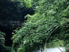 -三峡人家风景区