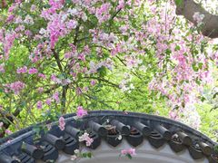 -深圳国际园林花卉博览园