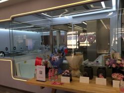 -海豚湾高端月子会所(黄浦店)