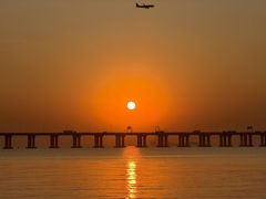 -宝安西湾红树林湿地公园