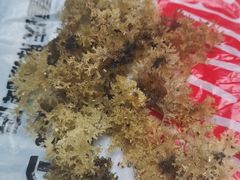 -缙云山景区