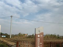 -莲花岛景区