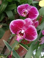 -UP&UP·半永久眉毛眼线机器野生眉