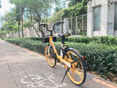 -福田红树林生态公园