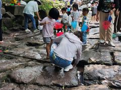 -重庆彩云湖湿地公园