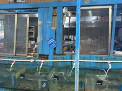 -蓝湾碧波·老字号·疍家非遗海上餐厅