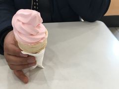 -麦当劳(盐城世纪大道得来速店)