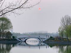 -大兴滨河森林公园