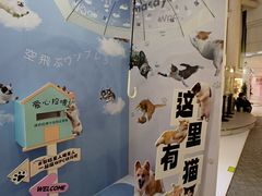 -美罗城
