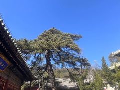 -潭柘寺景区